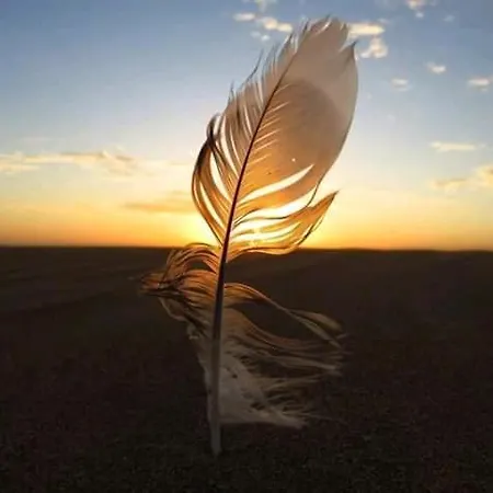 Apartament Koka Deluxe *